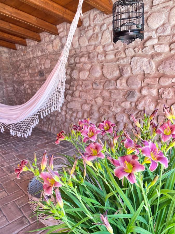 Le Mansarine Charme B&B Castellaro  Ngoại thất bức ảnh